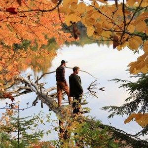 Meet your Posher, Cameron